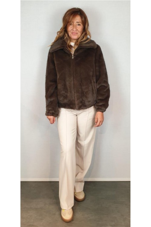 CAZADORA GIOVANNI MARRON