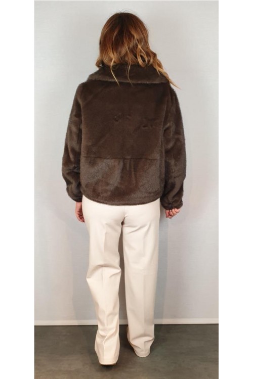 CAZADORA GIOVANNI MARRON