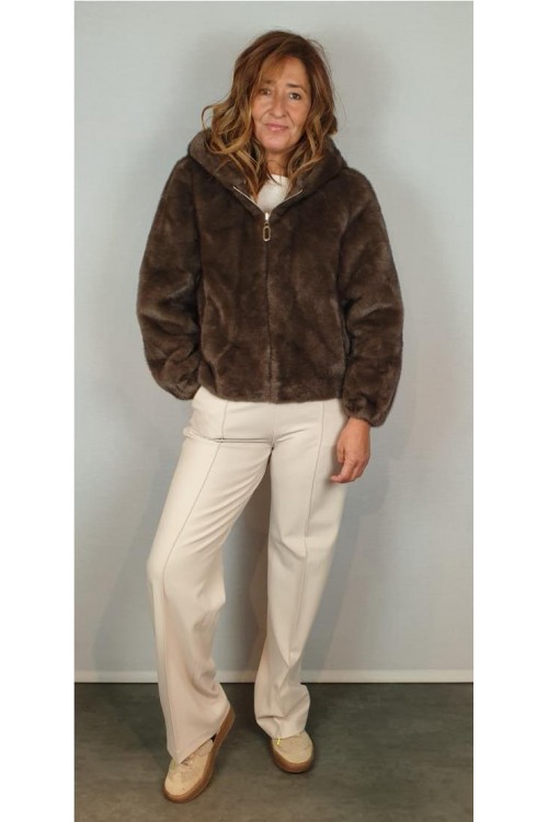 CAZADORA LEO&UGO MARRON